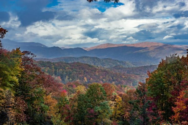 Roaring-Fork-View